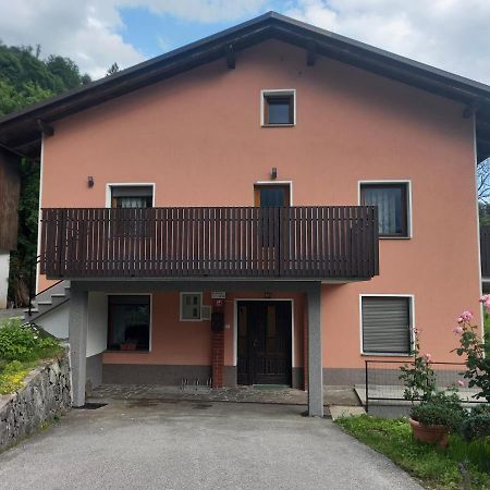 Apartmaji Ursic Kobarid Exteriér fotografie