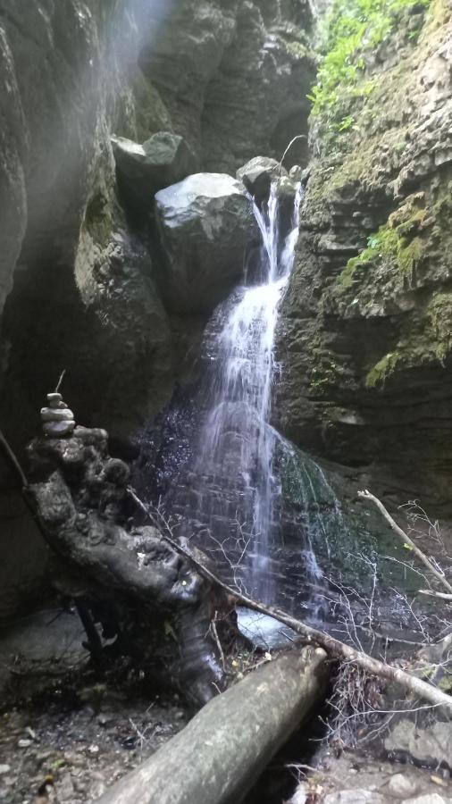 Apartmaji Ursic Kobarid Exteriér fotografie